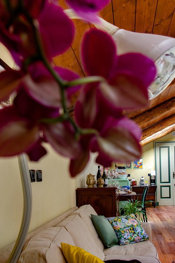 Ca D'I. Bed & Breakfast Magliano Alfieri Eksteriør bilde