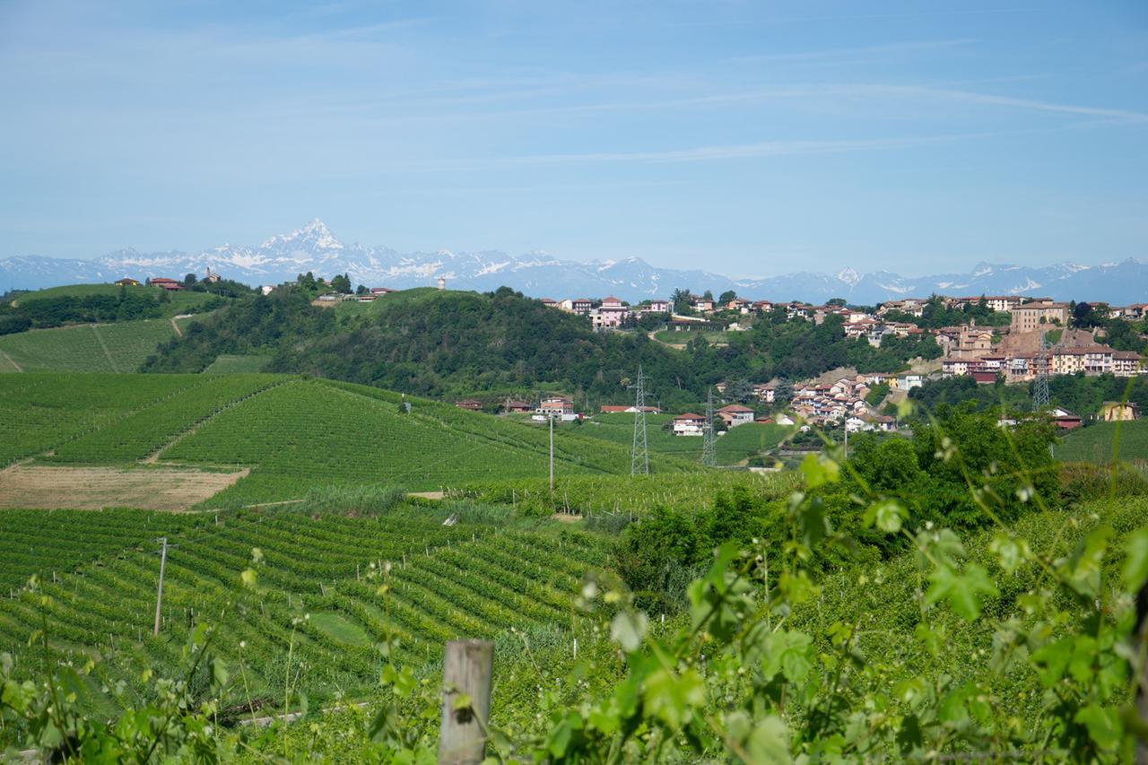 Ca D'I. Bed & Breakfast Magliano Alfieri Eksteriør bilde